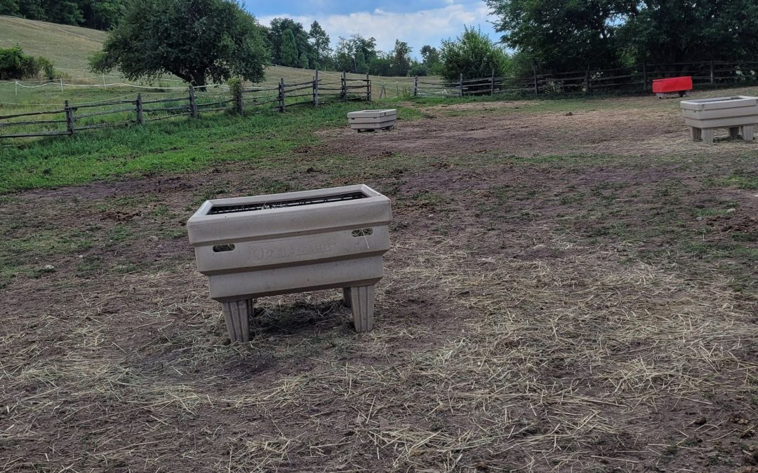 Reducing Hay Waste: How to Do It and Why It Matters